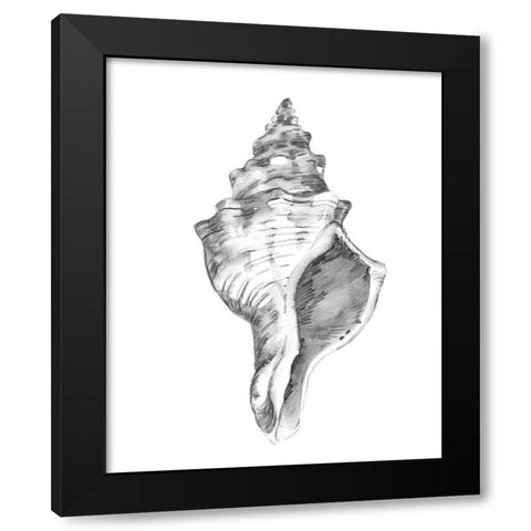 Quiet Conch IV Black Modern Wood Framed Art Print with Double Matting by Caroline, Emma