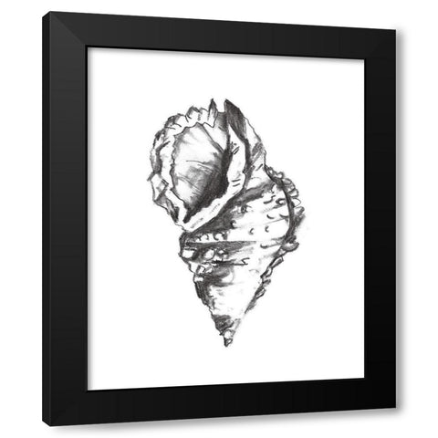 Seashell Study I Black Modern Wood Framed Art Print with Double Matting by Wang, Melissa