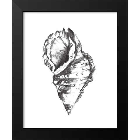 Seashell Study I Black Modern Wood Framed Art Print by Wang, Melissa