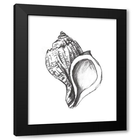 Seashell Study II Black Modern Wood Framed Art Print with Double Matting by Wang, Melissa