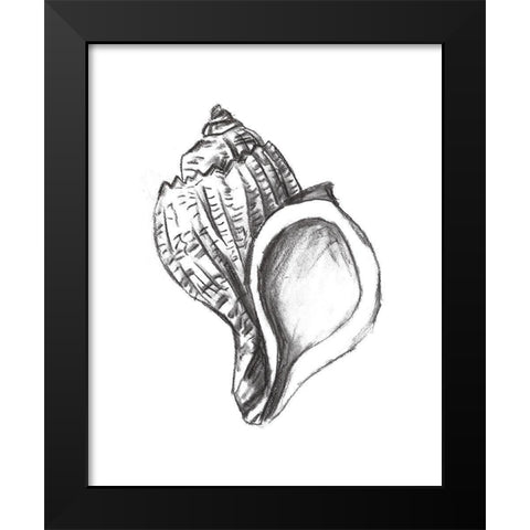 Seashell Study II Black Modern Wood Framed Art Print by Wang, Melissa