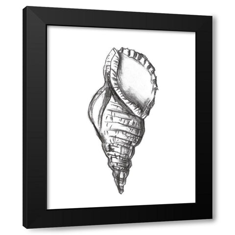 Seashell Study III Black Modern Wood Framed Art Print with Double Matting by Wang, Melissa