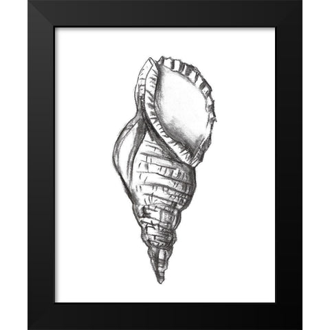 Seashell Study III Black Modern Wood Framed Art Print by Wang, Melissa