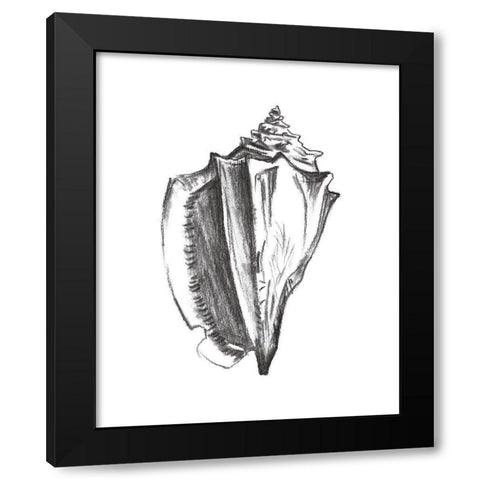 Seashell Study IV Black Modern Wood Framed Art Print with Double Matting by Wang, Melissa