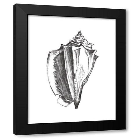 Seashell Study IV Black Modern Wood Framed Art Print by Wang, Melissa