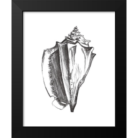 Seashell Study IV Black Modern Wood Framed Art Print by Wang, Melissa