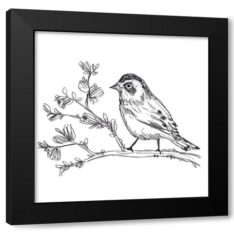 Simple Songbird Sketches II Black Modern Wood Framed Art Print with Double Matting by Vess, June Erica