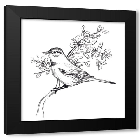 Simple Songbird Sketches III Black Modern Wood Framed Art Print by Vess, June Erica
