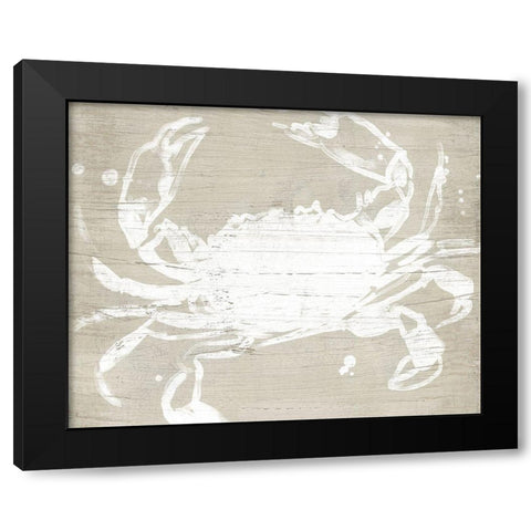 Weathered Crab I Black Modern Wood Framed Art Print with Double Matting by Vess, June Erica