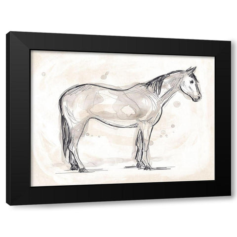 Vintage Equine Sketch II Black Modern Wood Framed Art Print with Double Matting by Vess, June Erica