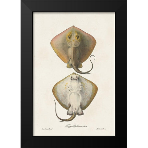 Antique Rays I Black Modern Wood Framed Art Print by Unknown