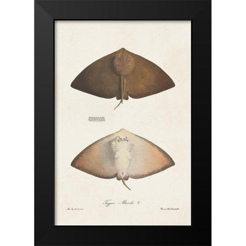 Antique Rays II Black Modern Wood Framed Art Print by Unknown