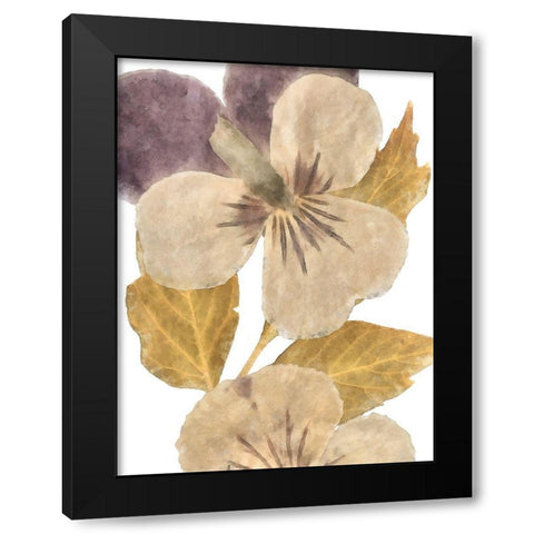 Neutral Pansy I Black Modern Wood Framed Art Print by Saunders, Alonzo
