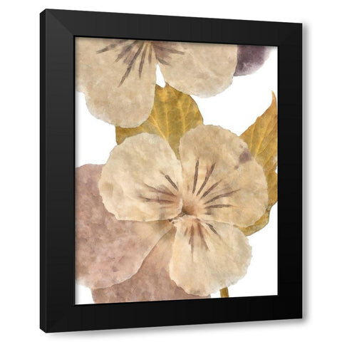 Neutral Pansy II Black Modern Wood Framed Art Print with Double Matting by Saunders, Alonzo