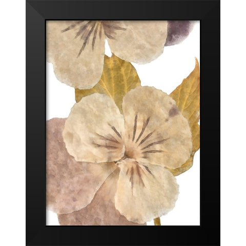 Neutral Pansy II Black Modern Wood Framed Art Print by Saunders, Alonzo