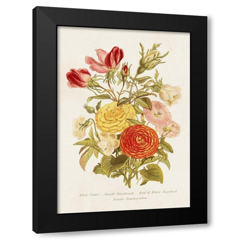 Antique Floral Bouquet I Black Modern Wood Framed Art Print with Double Matting by Unknown