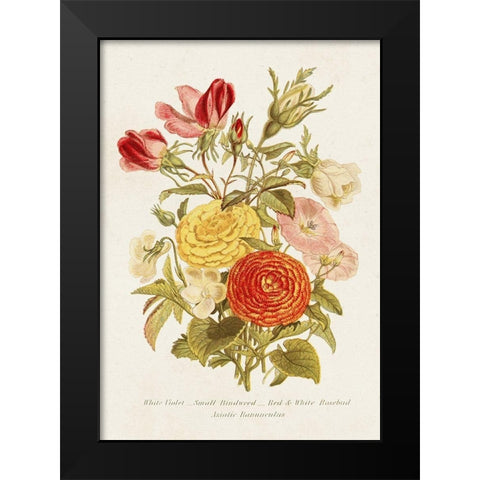 Antique Floral Bouquet I Black Modern Wood Framed Art Print by Unknown