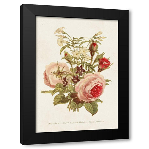 Antique Floral Bouquet III Black Modern Wood Framed Art Print with Double Matting by Unknown