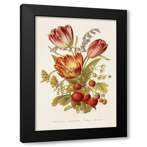 Antique Floral Bouquet IV Black Modern Wood Framed Art Print with Double Matting by Unknown