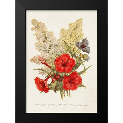 Antique Floral Bouquet V Black Modern Wood Framed Art Print by Unknown