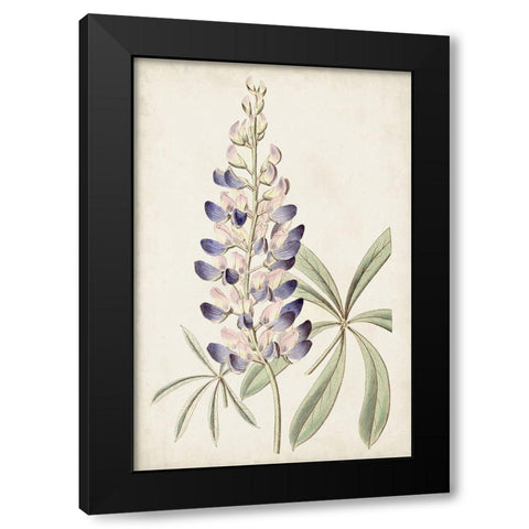 Antique Botanical Collection II Black Modern Wood Framed Art Print with Double Matting by Ridgeway