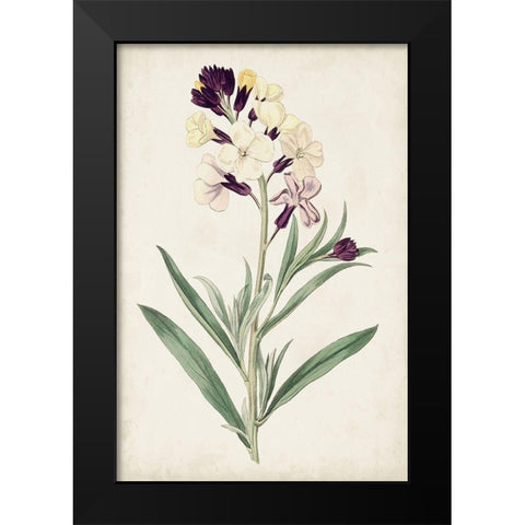 Antique Botanical Collection VII Black Modern Wood Framed Art Print by Ridgeway
