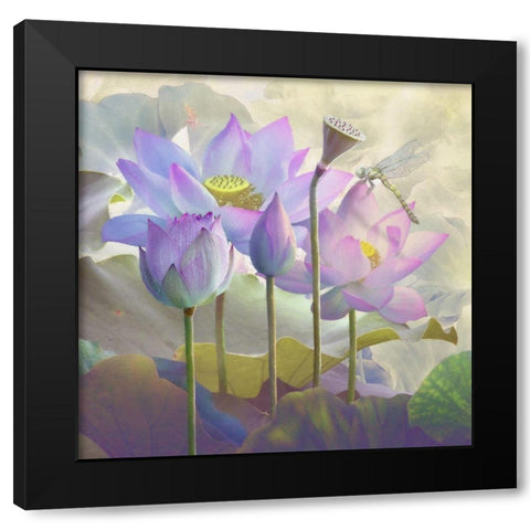 Lotus Sanctuary I Black Modern Wood Framed Art Print with Double Matting by Hunziker, Steve