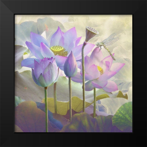 Lotus Sanctuary I Black Modern Wood Framed Art Print by Hunziker, Steve