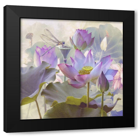 Lotus Sanctuary II Black Modern Wood Framed Art Print by Hunziker, Steve