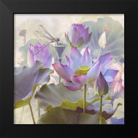 Lotus Sanctuary II Black Modern Wood Framed Art Print by Hunziker, Steve