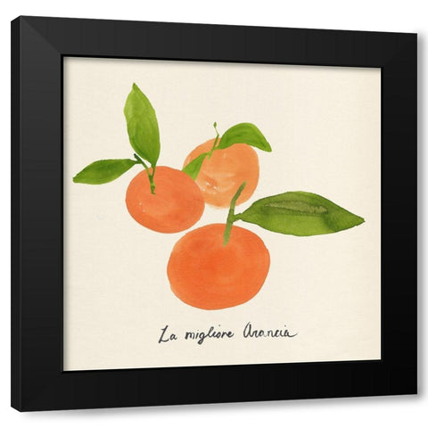 Citrus Trattare II Black Modern Wood Framed Art Print with Double Matting by Warren, Annie