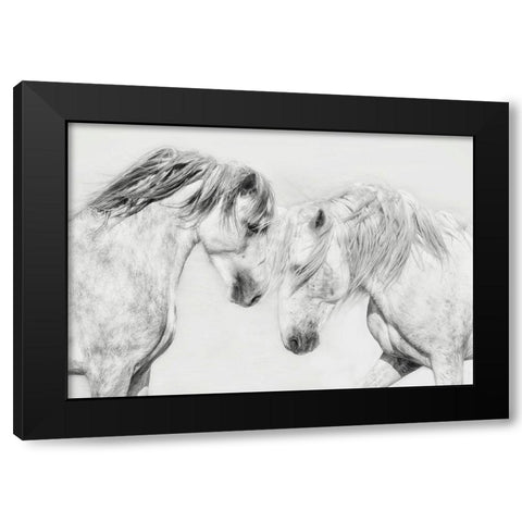 Equine Portrait I Black Modern Wood Framed Art Print with Double Matting by PHBurchett