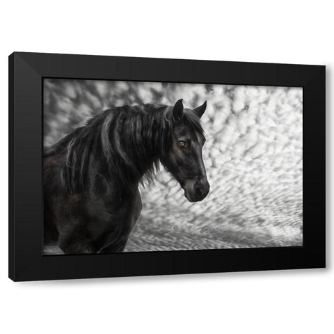 Equine Portrait III Black Modern Wood Framed Art Print by PHBurchett