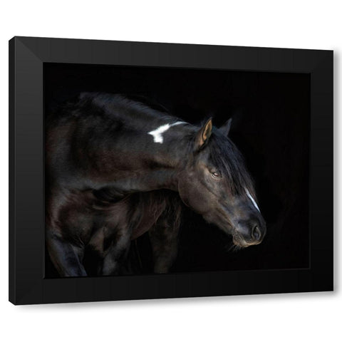 Equine Portrait IV Black Modern Wood Framed Art Print by PHBurchett