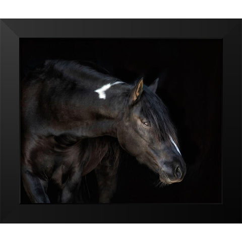 Equine Portrait IV Black Modern Wood Framed Art Print by PHBurchett
