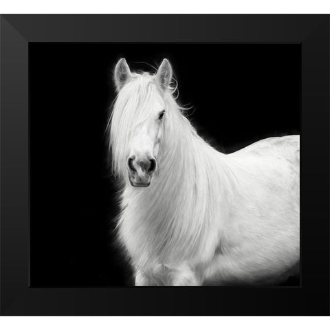 Equine Portrait V Black Modern Wood Framed Art Print by PHBurchett