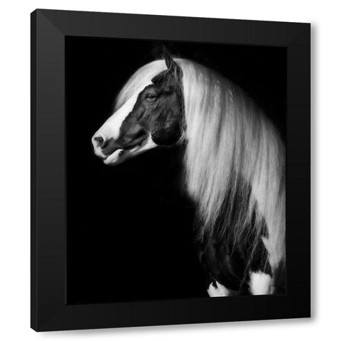 Equine Portrait VII Black Modern Wood Framed Art Print with Double Matting by PHBurchett