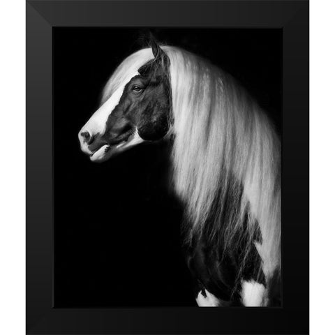 Equine Portrait VII Black Modern Wood Framed Art Print by PHBurchett