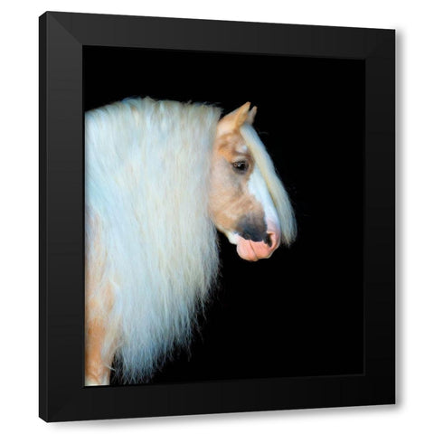 Equine Portrait VIII Black Modern Wood Framed Art Print by PHBurchett