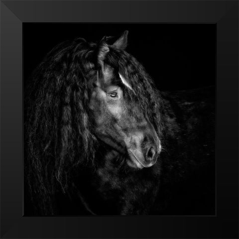 Equine Portrait IX Black Modern Wood Framed Art Print by PHBurchett