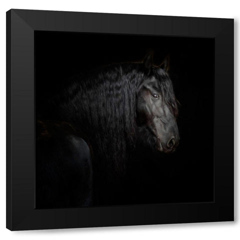 Equine Portrait X Black Modern Wood Framed Art Print by PHBurchett