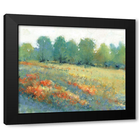 Rural Land I Black Modern Wood Framed Art Print with Double Matting by OToole, Tim