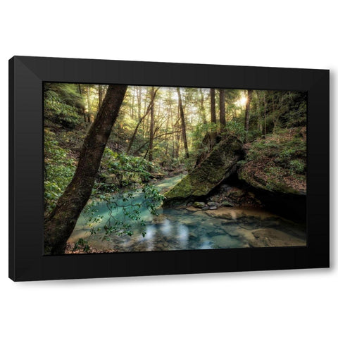 Filtered Light I Black Modern Wood Framed Art Print by Head, Danny