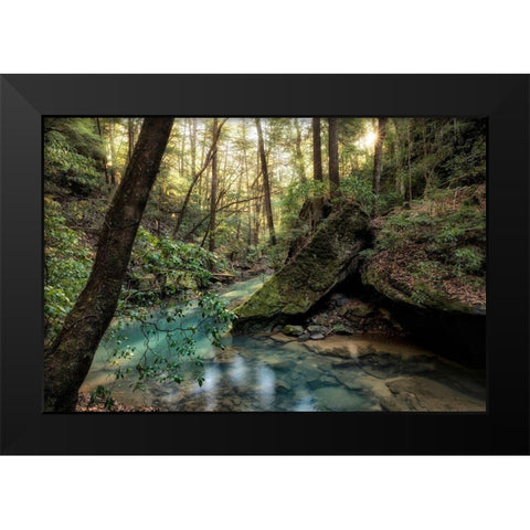 Filtered Light I Black Modern Wood Framed Art Print by Head, Danny