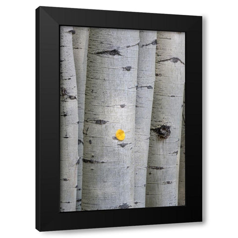 Stuck On You Black Modern Wood Framed Art Print with Double Matting by Head, Danny