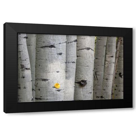 Stuck On You Too Black Modern Wood Framed Art Print with Double Matting by Head, Danny
