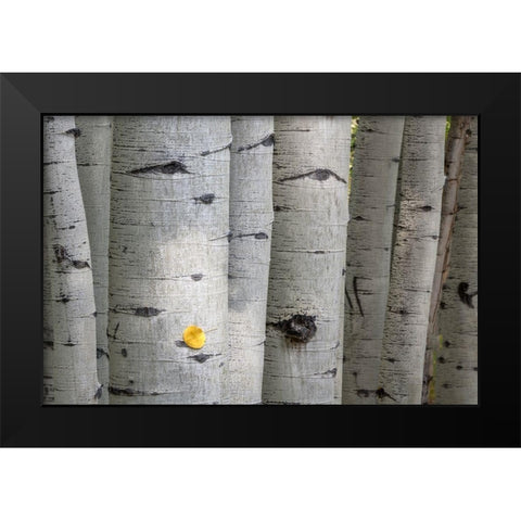 Stuck On You Too Black Modern Wood Framed Art Print by Head, Danny