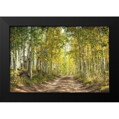 Aspen Drive Black Modern Wood Framed Art Print by Head, Danny