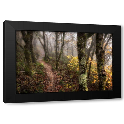 Fog Ahead Black Modern Wood Framed Art Print by Head, Danny