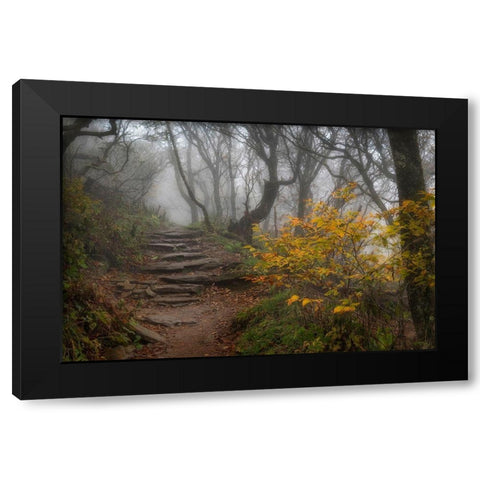 Stone Steps Black Modern Wood Framed Art Print with Double Matting by Head, Danny